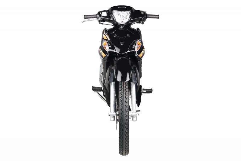 Smash Black Gold Front View_1613454664.png